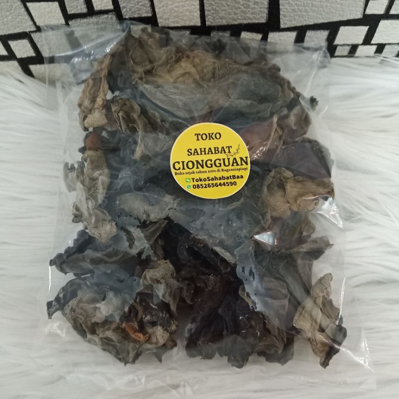 

Obokni Jamur Kuping Hitam