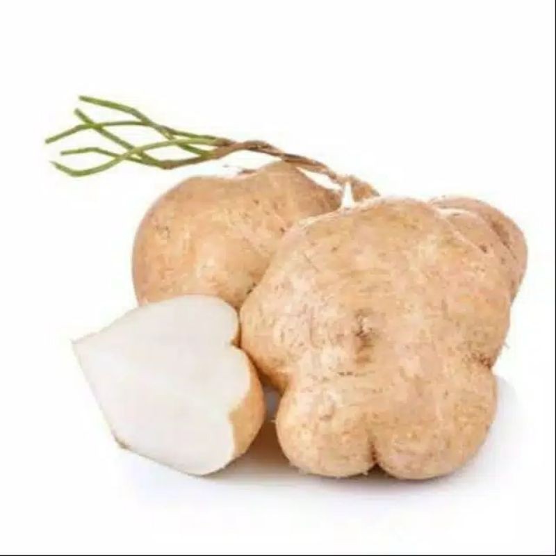 

BENGKOANG/ BESUSU/ BUAH BENGKOANG 1 KG