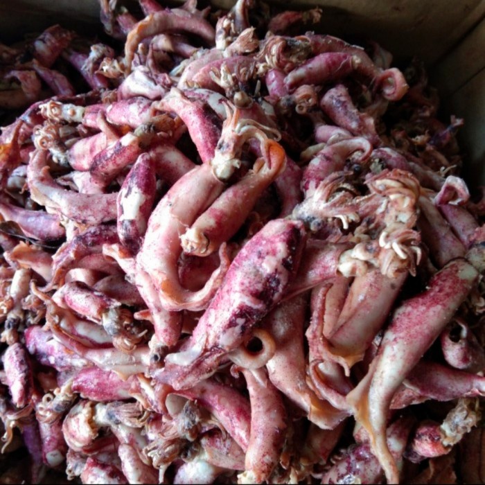 

Cumi Asin Kering Super 500gr