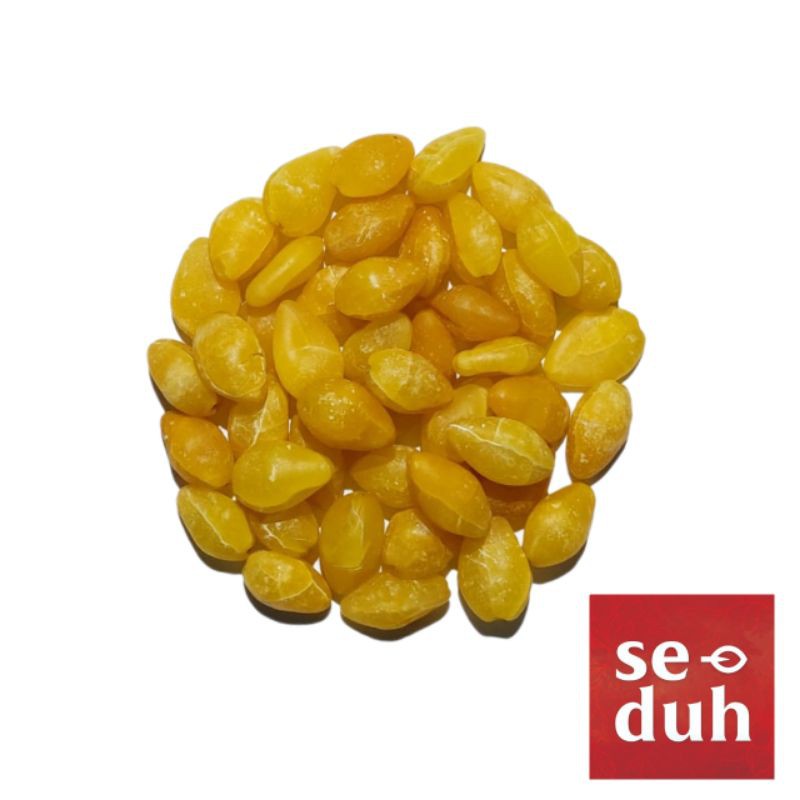 

Ginkgo Biloba Kupas / Dried Ginko nuts / Bai Guo / Pek ko 25 gram