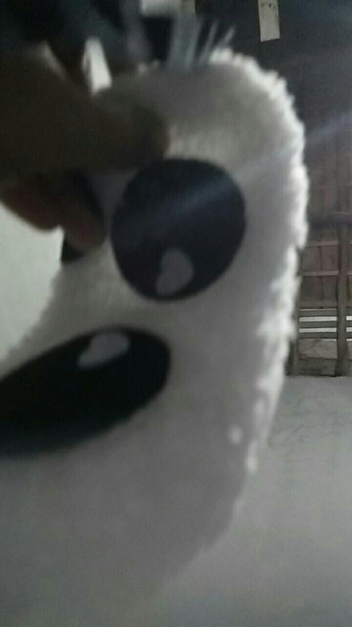 My Bottle Petak Bening Import