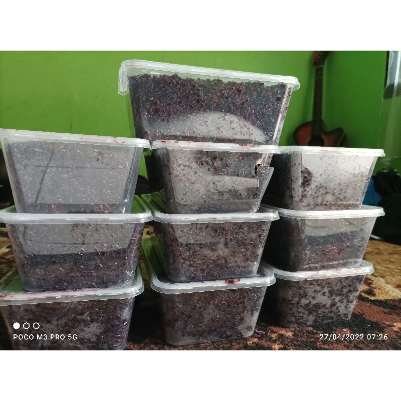 Jual tape ketan hitam asli bandung peyeum ketan hitam asli bandung manis Shopee Indonesia