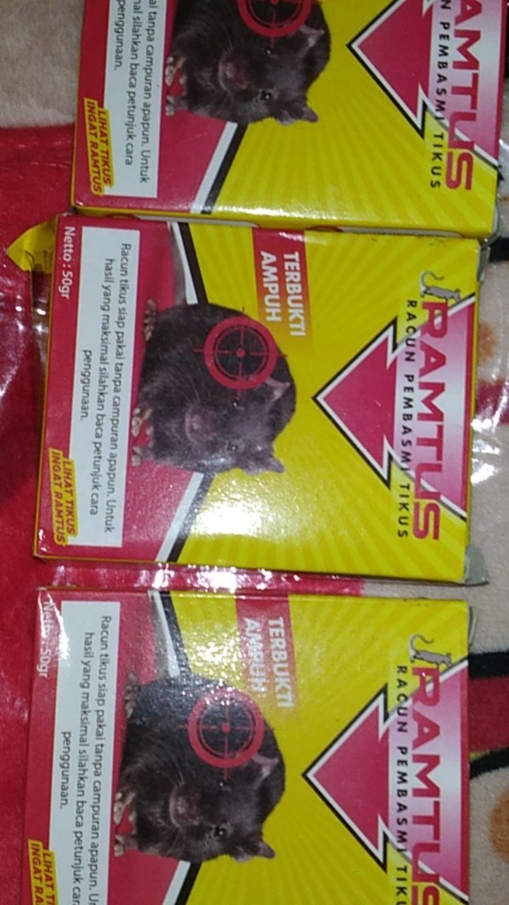Ramtus Racun Tikus Ampuh Mati Kering Tidak Bau Pembasmi Curut Wirog Mencit Dirumah Di Mobil 3 Pack