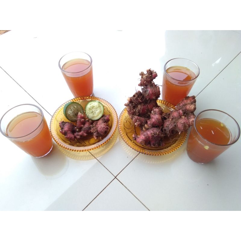 

Jahe Merah Segar