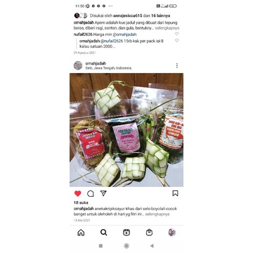 

keripik sayur