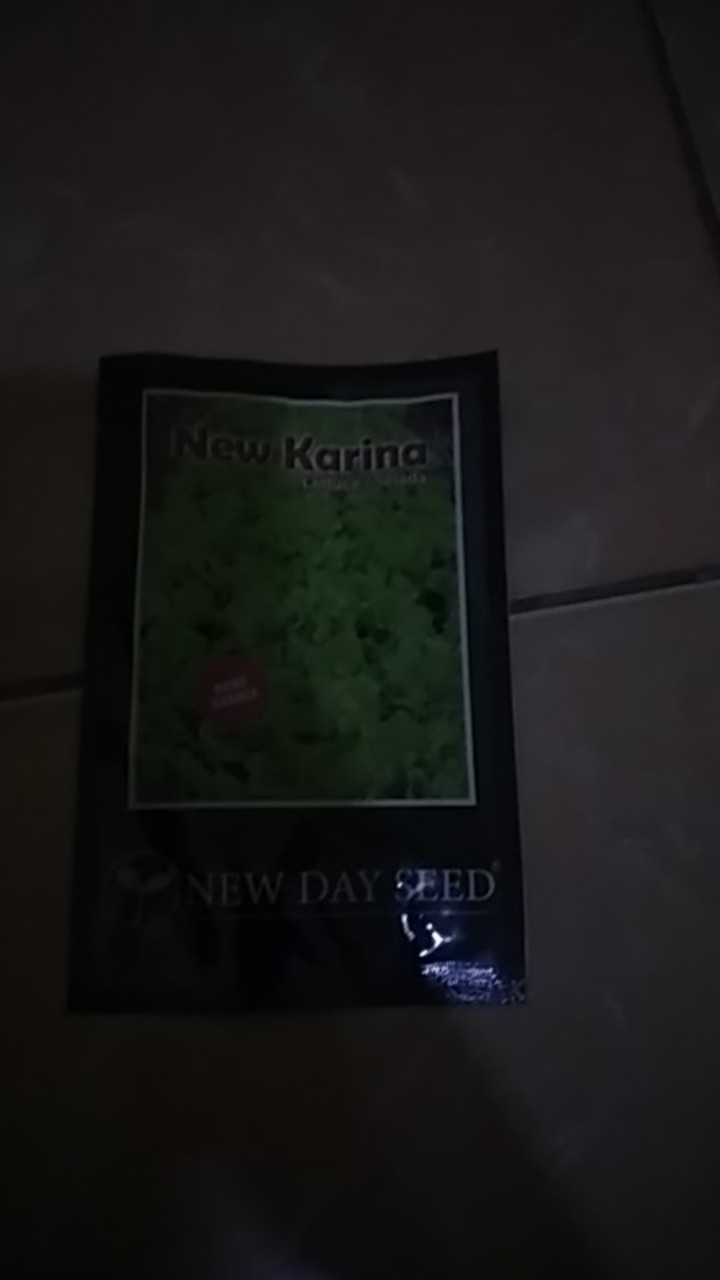 Benih New Day Seed Selada Karina