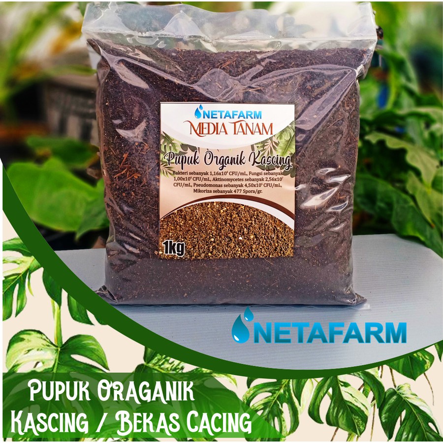 Pupuk Organik / Kascing / Kompos Cacing Vermicompost KERING -1 kg