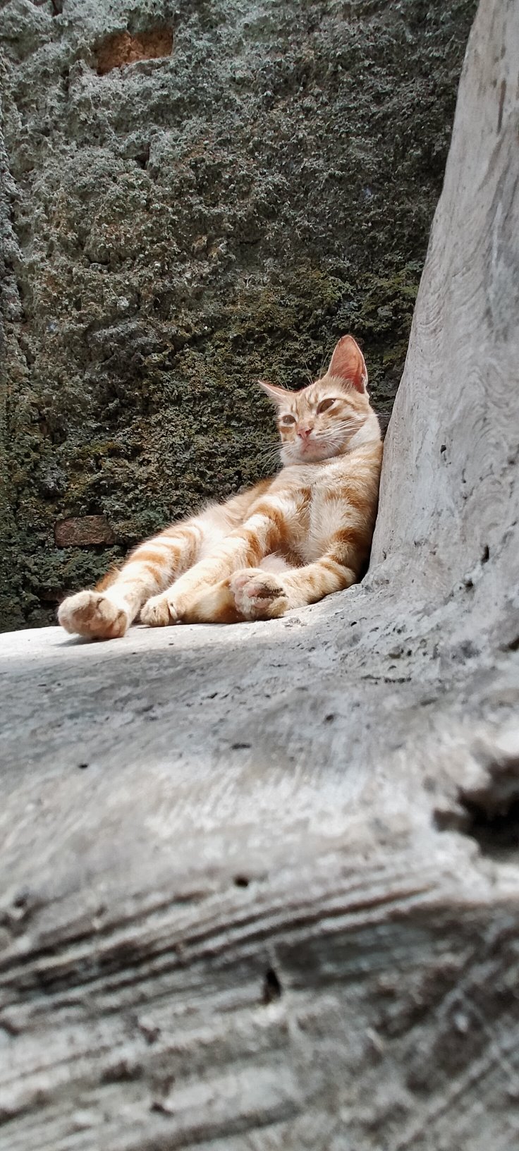 Gantungan Hook 3 Tingkat Multifungsi Gantungan Hook Kamar Mandi Gantungan Dapur