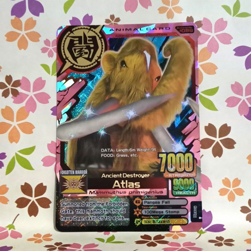 animal kaiser ultra atlas