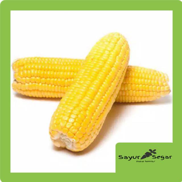 

Jagung manis [1 buah]