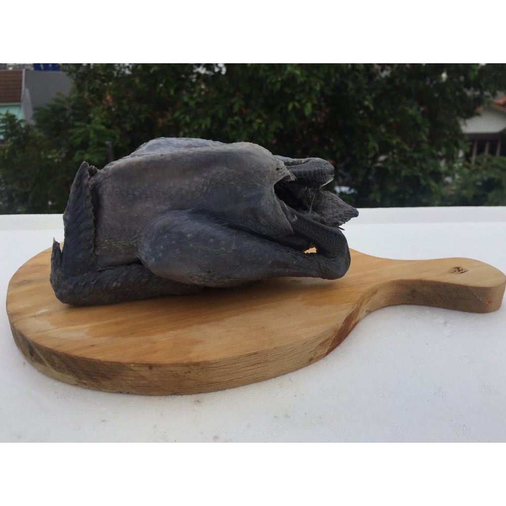 

Karkas Ayam Hitam Cemani 600-800 gram (via gojek/grab)