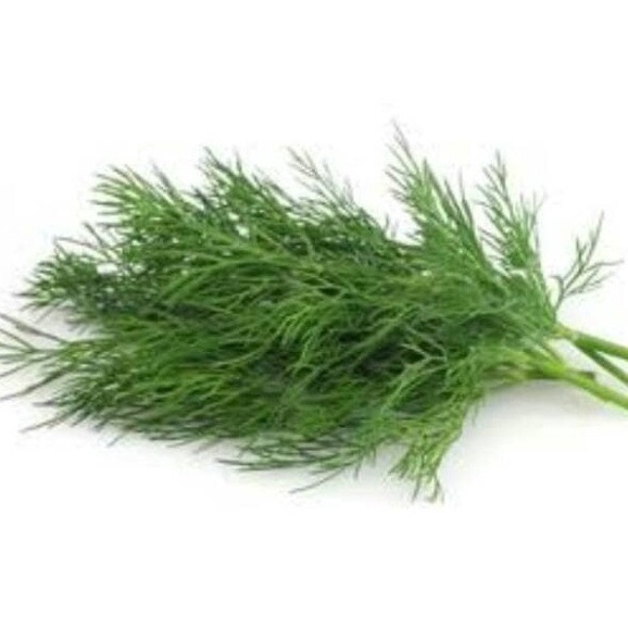 

daun dill segar 250 gram