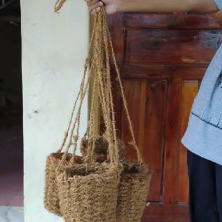  Pot  sabut  kelapa  anggrek tanaman dendrobium bunga 