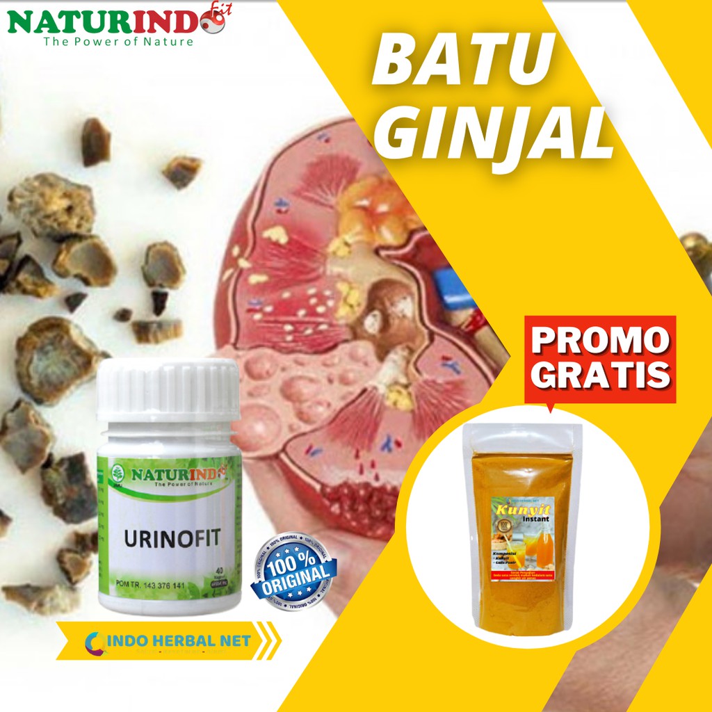 

Urinofit Obat Herbal Ginjal Batu Ginjal Radang ginjal Nyeri Pinggang kapsul Naturindo
