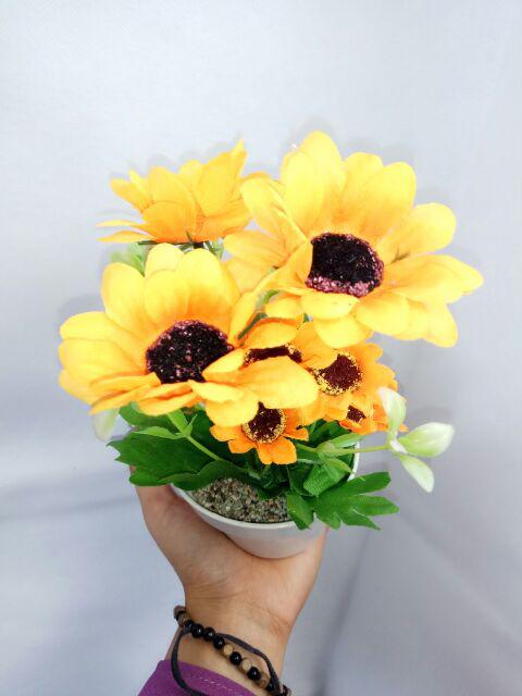 Bunga Matahari Kelopak Besar X7