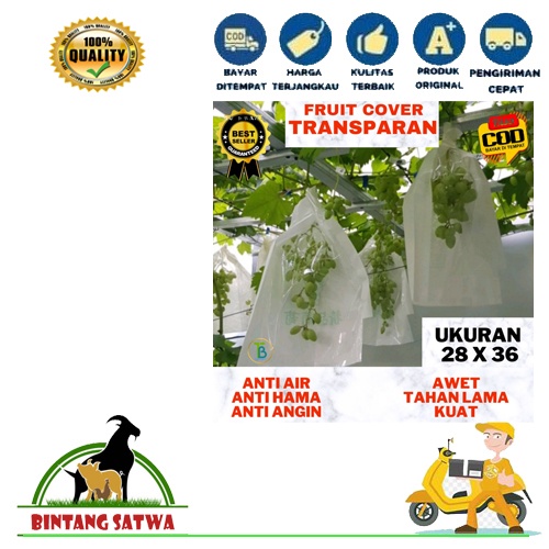 Fruit Cover Tanaman Buah Anggur Transparan