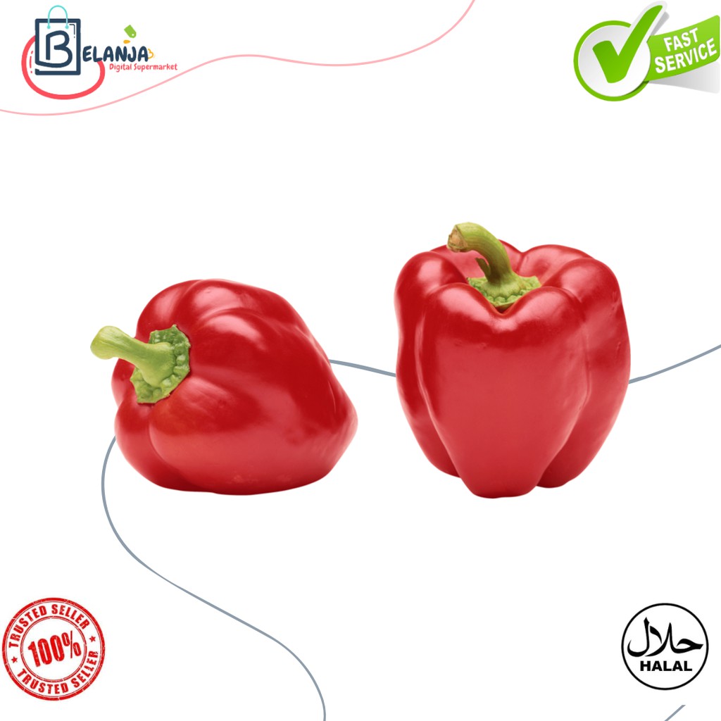 

Paprika Merah Mulus & Besar