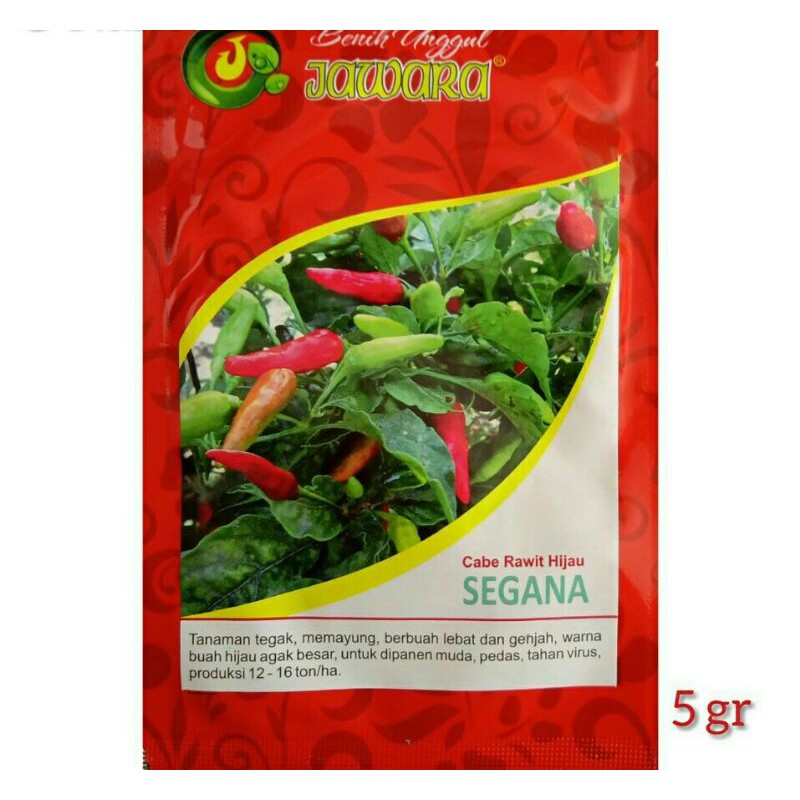 Benih/Bibit unggul Jawara Cabe rawit Hijau Segana