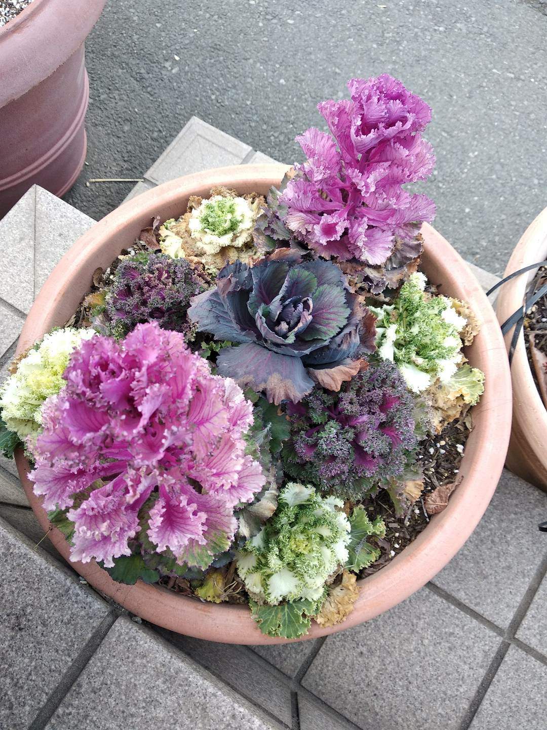 Ggmart Segitiga Tempat Spon Cuci Piring Serba Guna