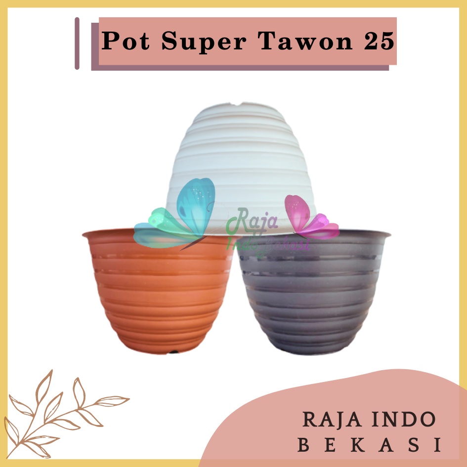 Pot Super Tawon 25 Putih Hitam Merah BataTerracota Terracotta Merah Coklat Garden Of Love Pot Tawon Putih Tirus Pot Tawon Pirus 18 20 21 25 27 - Pot Tawon 25