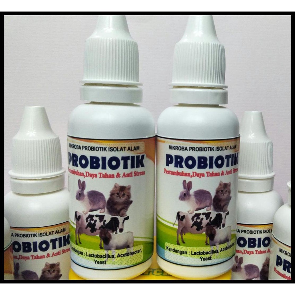 VITAMIN PROBIOTIK KELINCI, Jual Obat Probiotik Kelinci, Vitamin Probiotik Pada Hewan Kelinci Kucing 