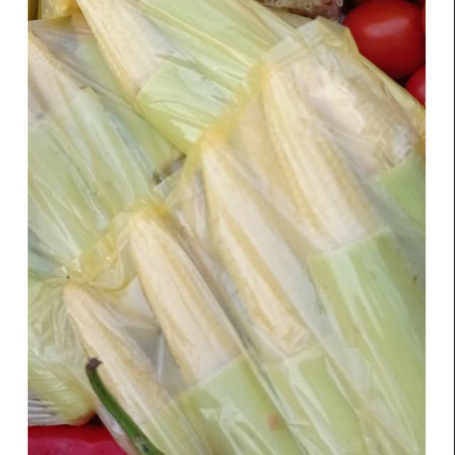 

Jagung muda segar