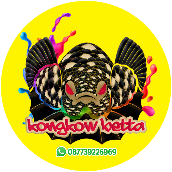 kongkow_betta