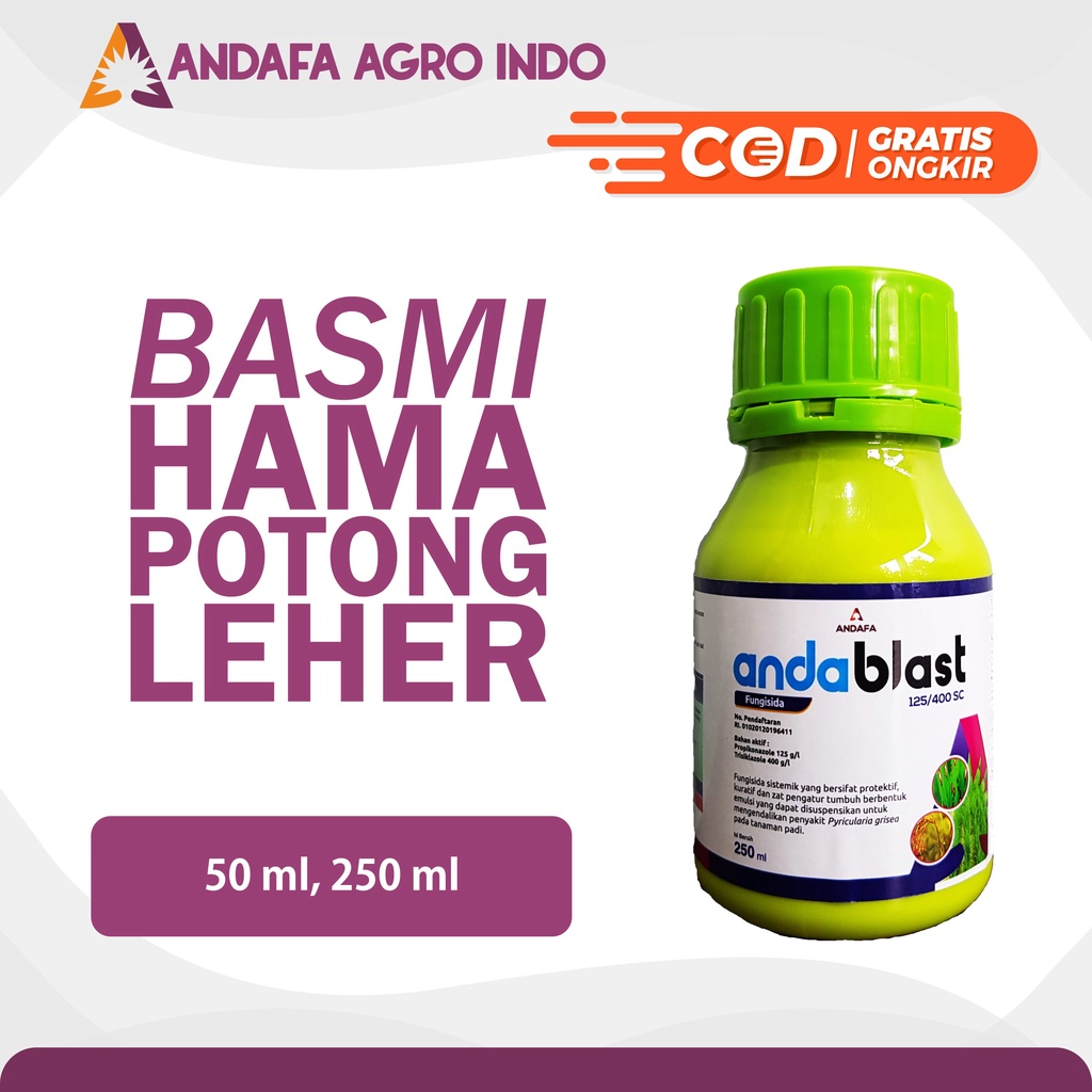 Anda Blast 250ml Fungisida Obat Pertanian Padi Obat Hama Padi Blas Obat Tanaman Padi Blast Obat Daun