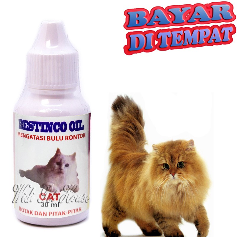 Obat Tumbuh Bulu Kucing Pitak Botak Bestinco