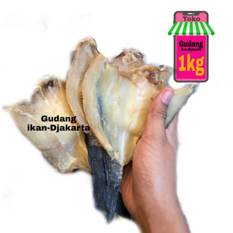 

ikan asin gabus ukuran sedang netto-1kg