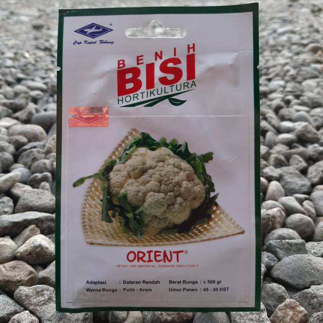 Benih Bibit Biji Sayur Kol Bunga ORIENT (80btr)
