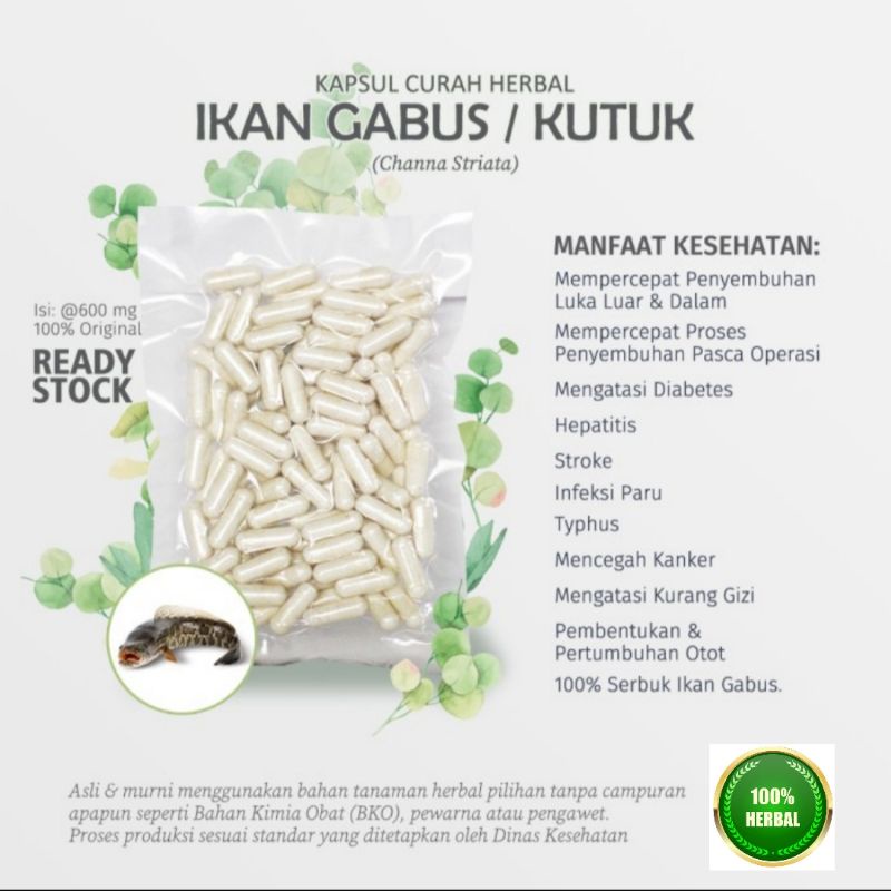 Sari Kutuk Kapsul Ikan Gabus Asli Curah 100 Kapsul Original