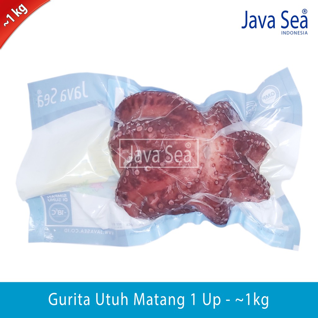 

Gurita Utuh sudah matang 1 Up pack 1kg Java Sea