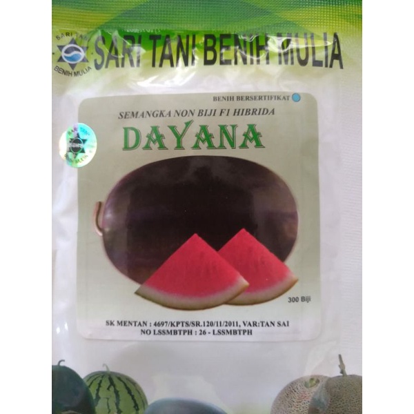BENIH SEMANGKA DAYANA