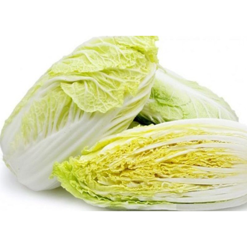 

Sawi Putih / Chinese Cabbage 500gr