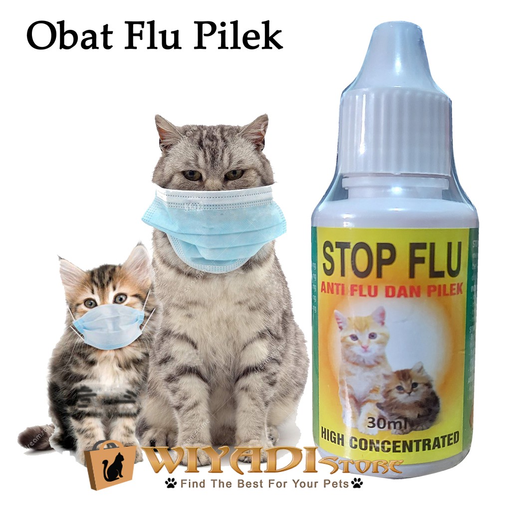 Stop Flu for Cat 30Ml - Obat Flu Pilek Ingusan Meler Bersin Untuk Kucing