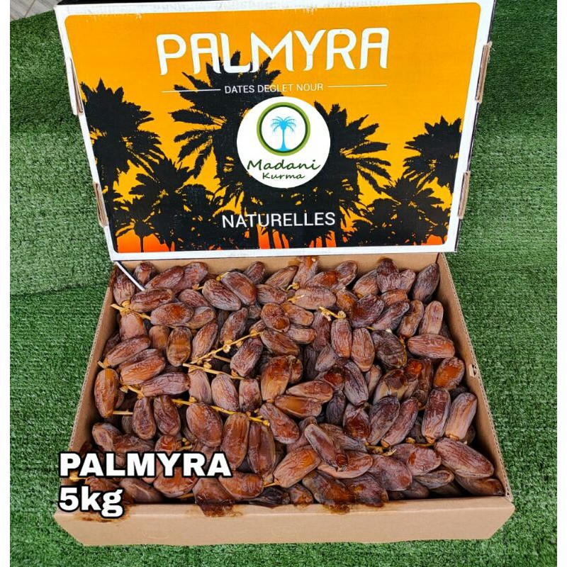 

kurma_tunis-libya