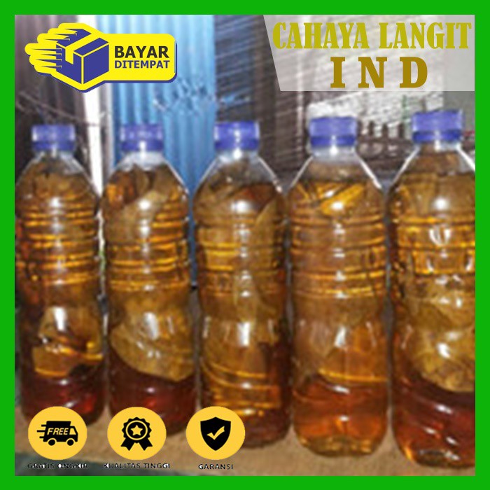 

Ekstrak Daun ketapang Untuk Ikan Cupang Guppy, Koi