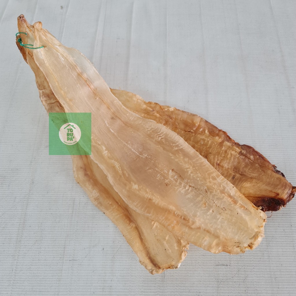 

Hephio / He Phio / Hipio / Hipiau / Yiphiau (Gelembung Ikan Teng Bue Liu / Miang He / Minyak Minyak)