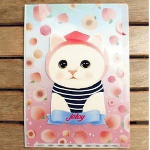 

Korean Stationary Nixnox Folder File Jetoy Slip 2 (132)