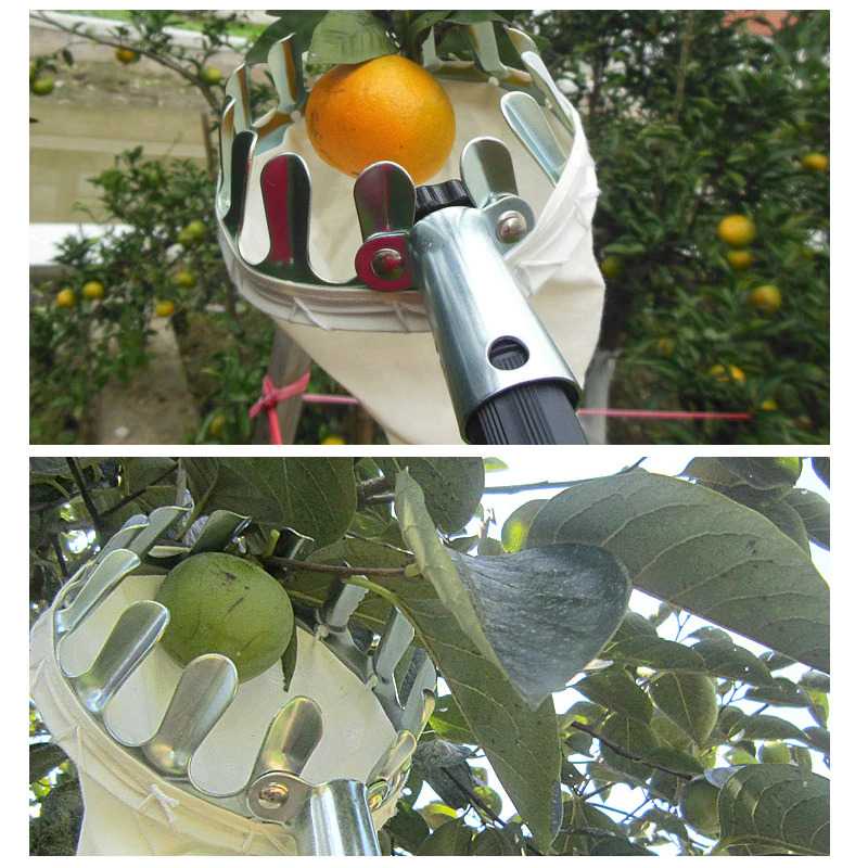 TD - TMN DIDIHOU Jaring Net Pemetik Buah Fruit Picker Collection Tool A48