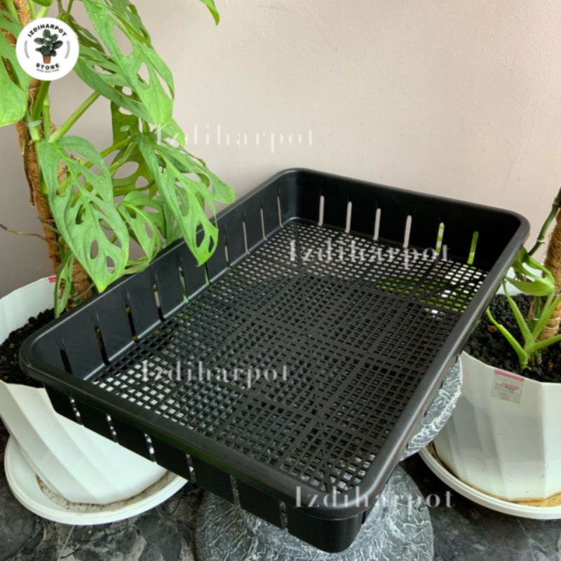 Tray pot untuk semai bibit hidroponik 50cm - TRAY POT NKT 50CM