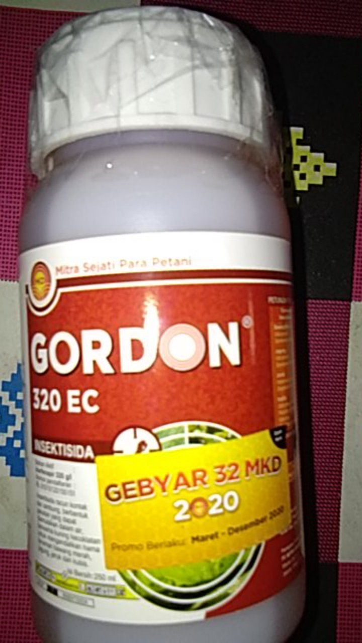 Gordon 320 Ec 250ml Insektisida Pembasmi Ulat Bawang Merah