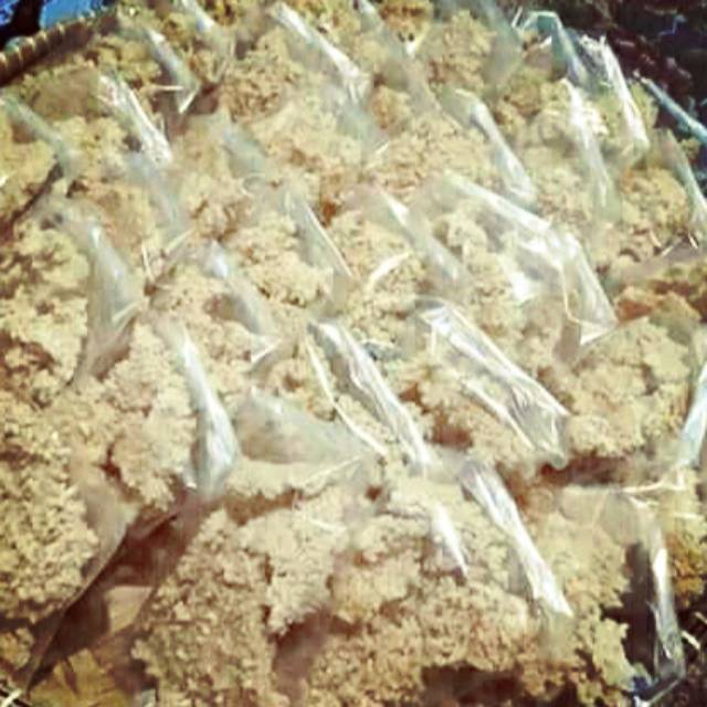 

Kerak nasi goreng khas Brebesan( perpak isi 10 bungkus)