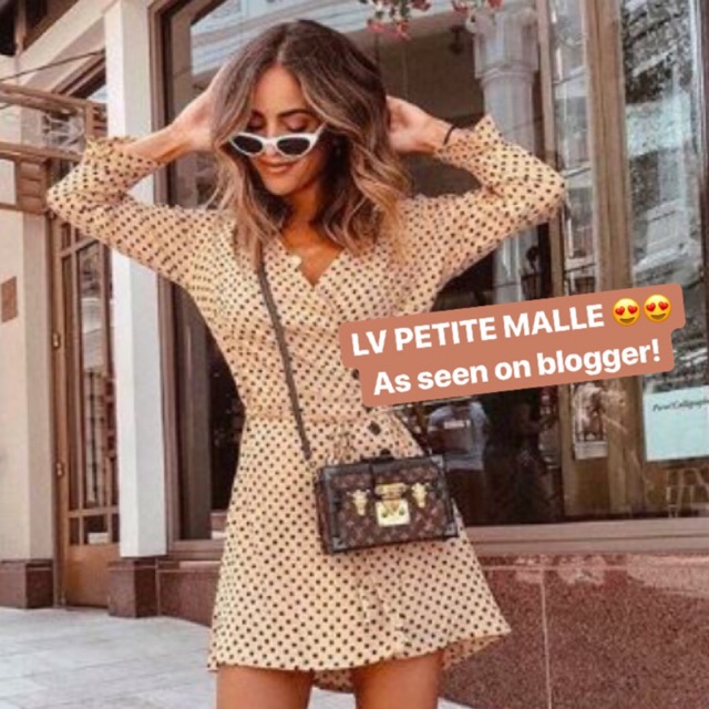 LV Petite Malle Bag
