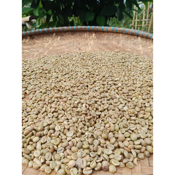 Robusta Green Bean Malangbong Garut