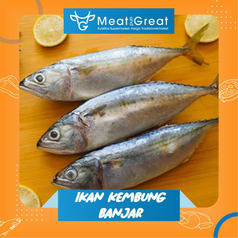 

Ikan Kembung Besar / Kembung Banjar Segar 1 kg & 500gr