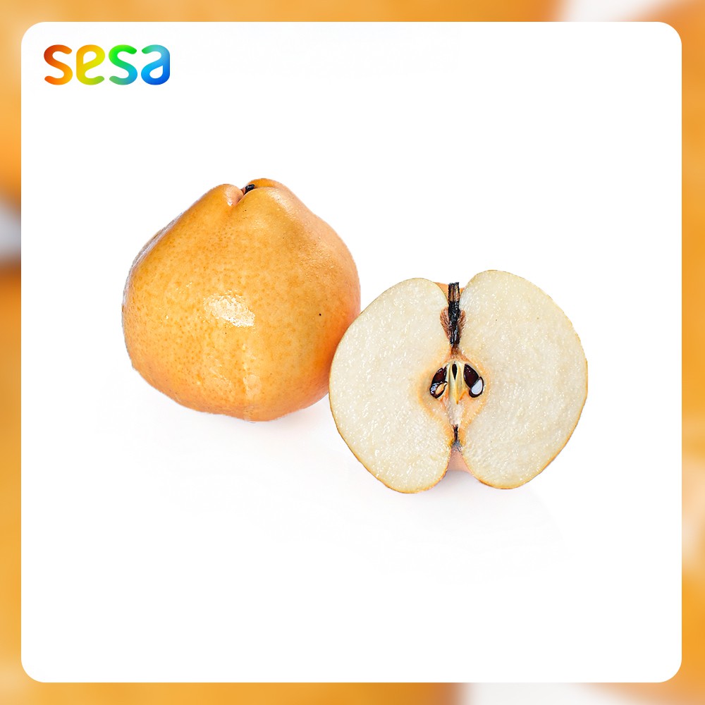 

PEAR Singo 0.95 - 1kg - Buah Fresh Sehat Segar