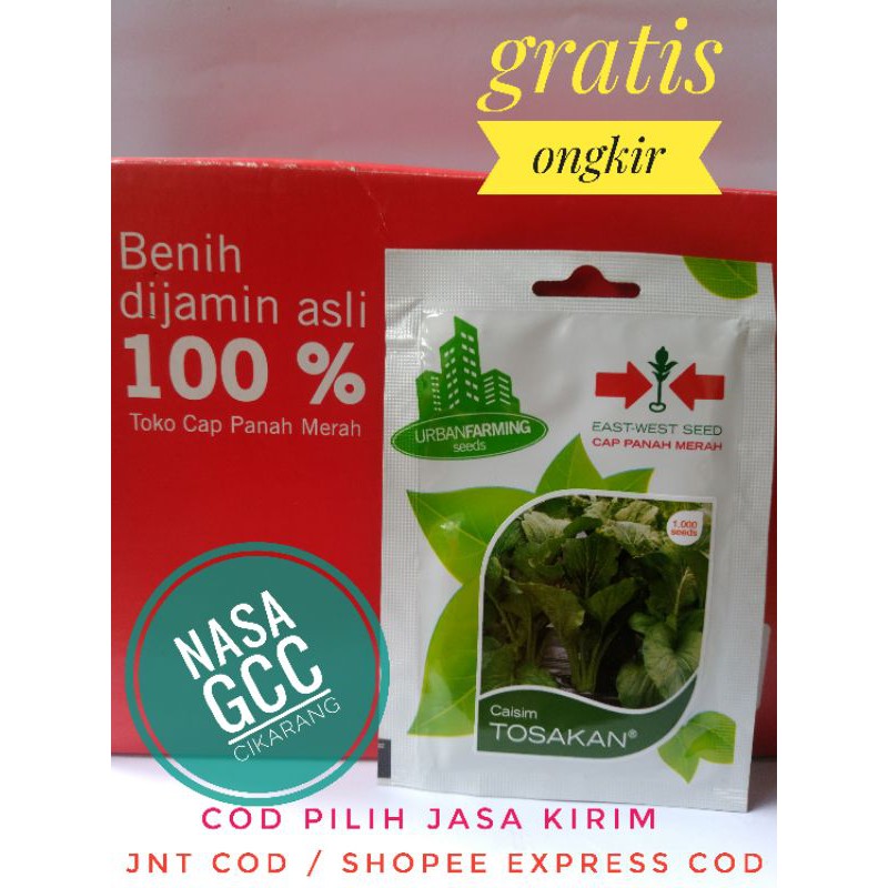 Benih/Bibit Sawi Tosakan Cap Panah Merah
