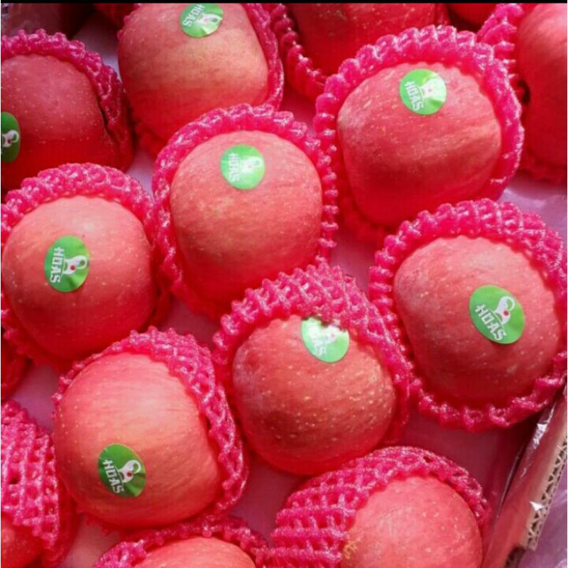 

Apel Segar Fuji 500gram